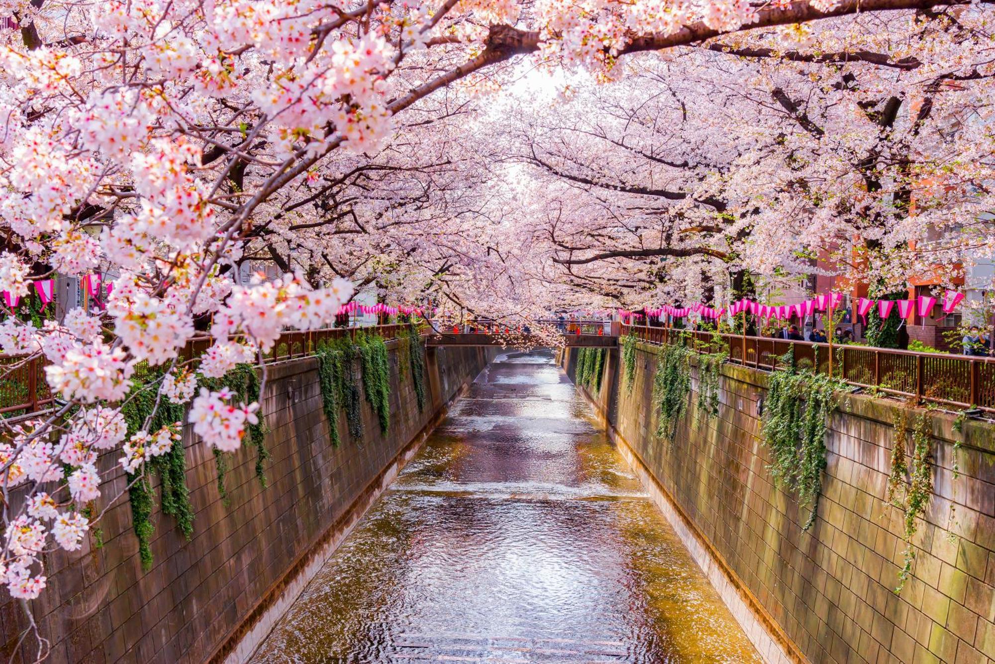 The Westin Tokyo — Foto 1